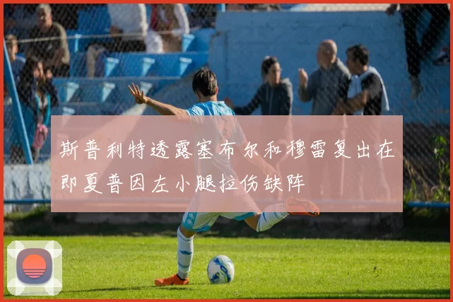 斯普利特透露塞布尔和穆雷复出在即夏普因左小腿拉伤缺阵
