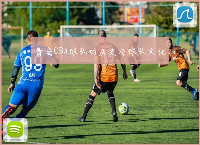 青岛CBA球队的历史与球队文化