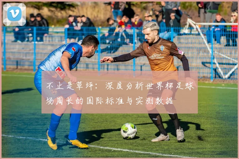 不止是草坪:深度分析世界杯足球场周长的国际标准与实测数据