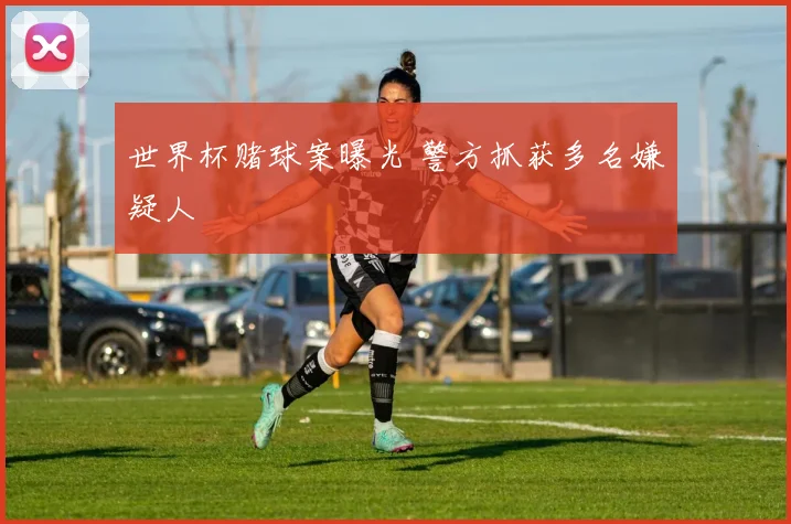 世界杯赌球案曝光 警方抓获多名嫌疑人