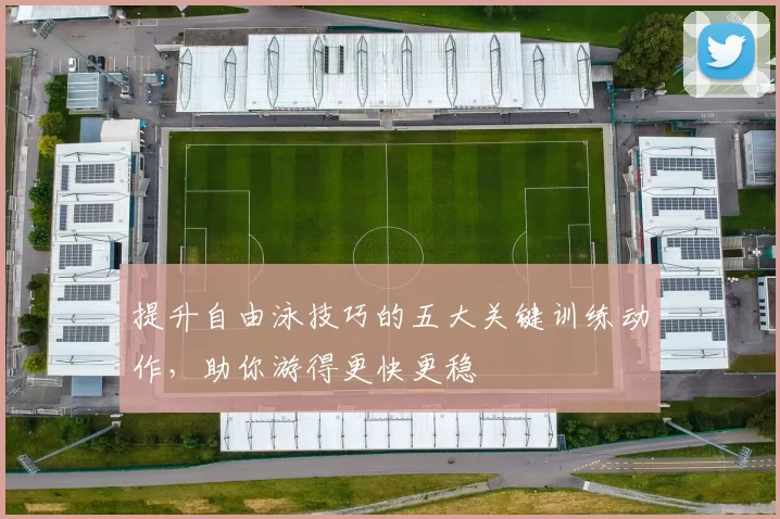 提升自由泳技巧的五大关键训练动作，助你游得更快更稳