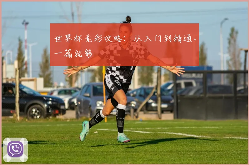 世界杯竞彩攻略:从入门到精通,一篇就够