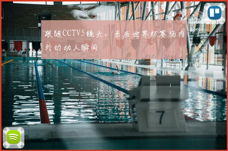 跟随CCTV5镜头,亲历世界杯赛场内外的动人瞬间