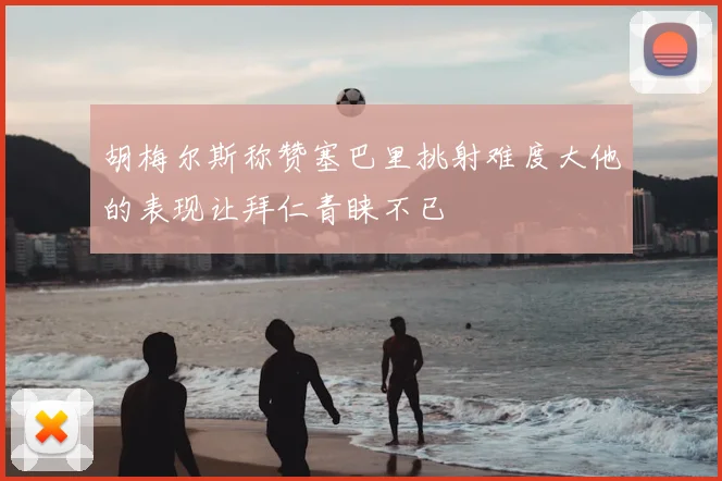 胡梅尔斯称赞塞巴里挑射难度大他的表现让拜仁青睐不已